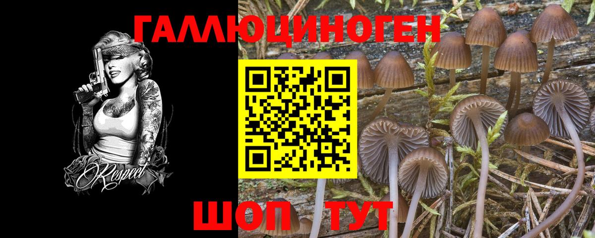 где продают   Псилоцибиновые грибы MAGIC MUSHROOMS  Приморско-Ахтарск  Вход с VPN  Псилоцибиновые грибы Psilocybine cubensis 
