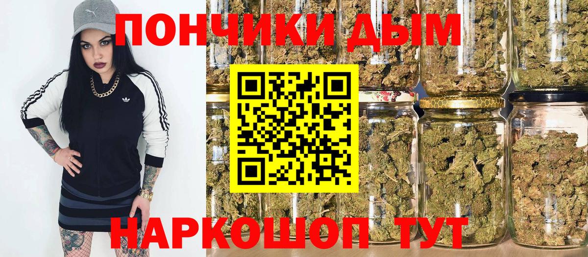 Шишки марихуана марихуана Приморско-Ахтарск